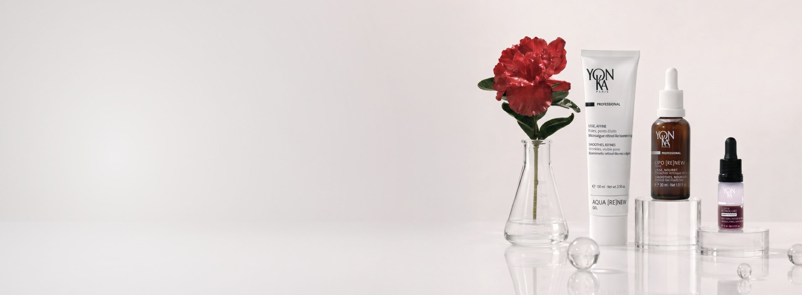 NO_TEXT_Desktop-Banner_2026_June-July_PartnerPromotions_FINAL-scaled