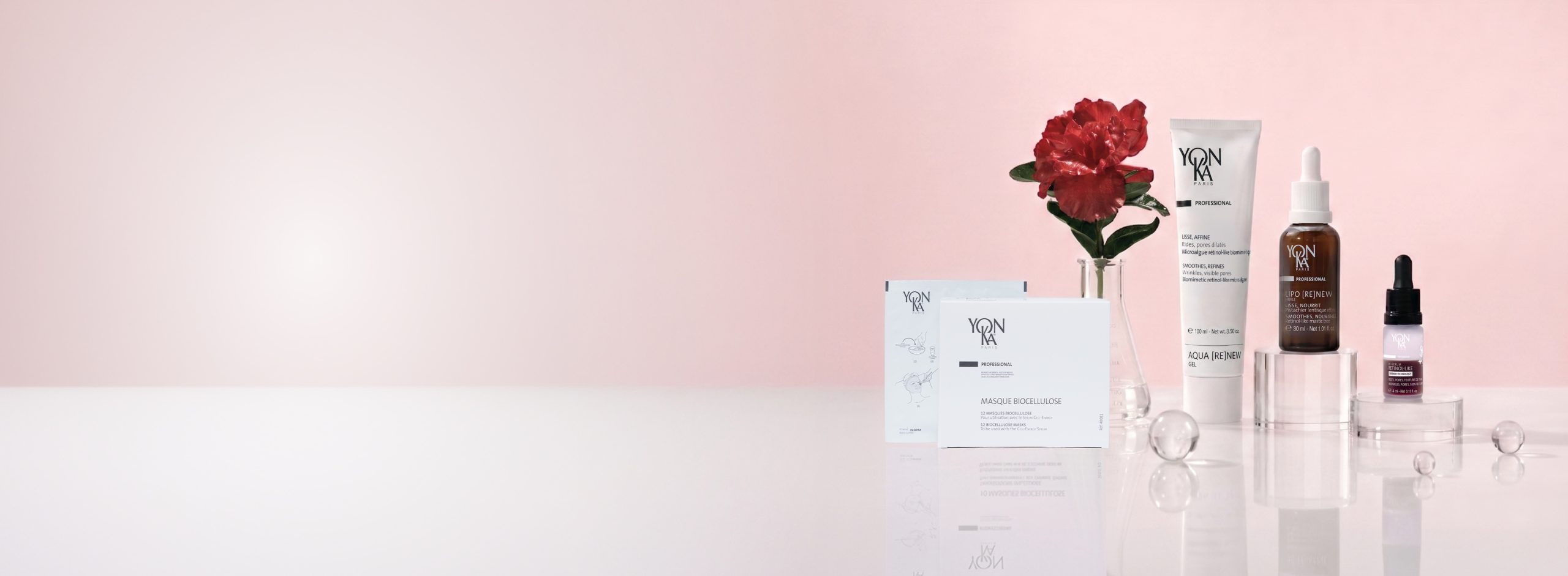 NO_TEXT_Desktop-Banner_2026_June-July_PartnerPromotions_FINAL2-scaled