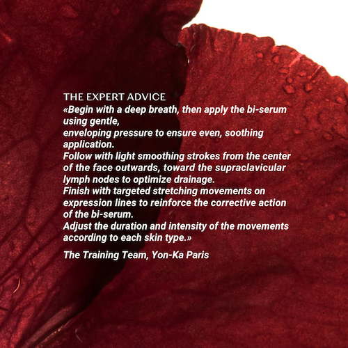 INFOGRAPHIES_EN_11_2556fd04-4535-4945-bde4-3dbaa70b9fa1-copie