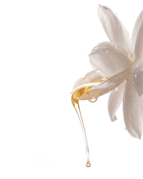4_5-FOCUS-JASMIN-1